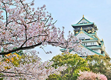 开云官方app入口-梁宏业：塞蒂恩长记性早换人早超生